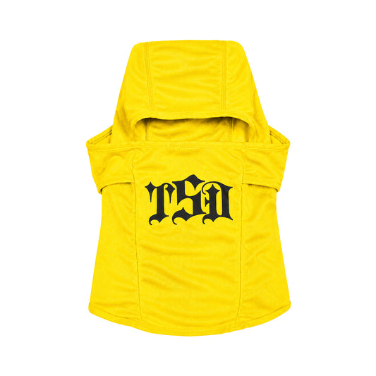 CLASSIC BALLY YELLOW