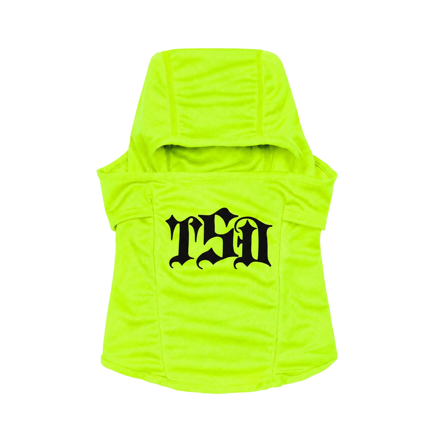 CLASSIC BALLY NEON