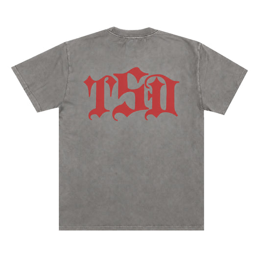TSD LOGO TEE FADED GREY / RED